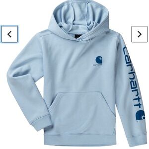 Carhartt Relaxed Fit Midweight Hoodie Logo Women’s Sz Med